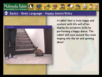 sample video from Multimedia Rabbit