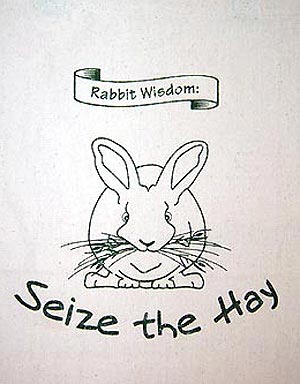 seize the hay